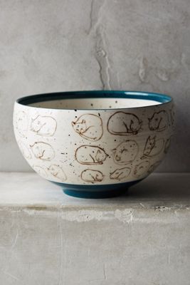 Cat Study Bowl