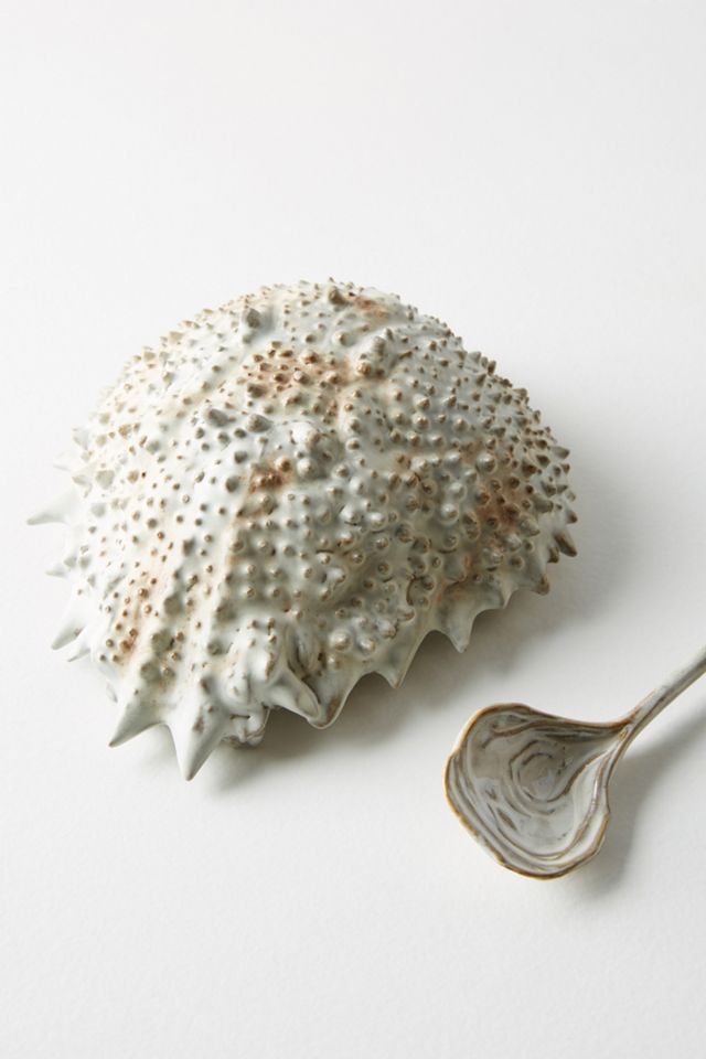 Lagoon Large Bowl + Spoon Set #1