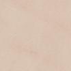 Premium Leather in Blush