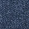 Performance Wool in Iolite
