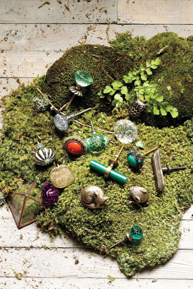 Forest Critter Knob #1