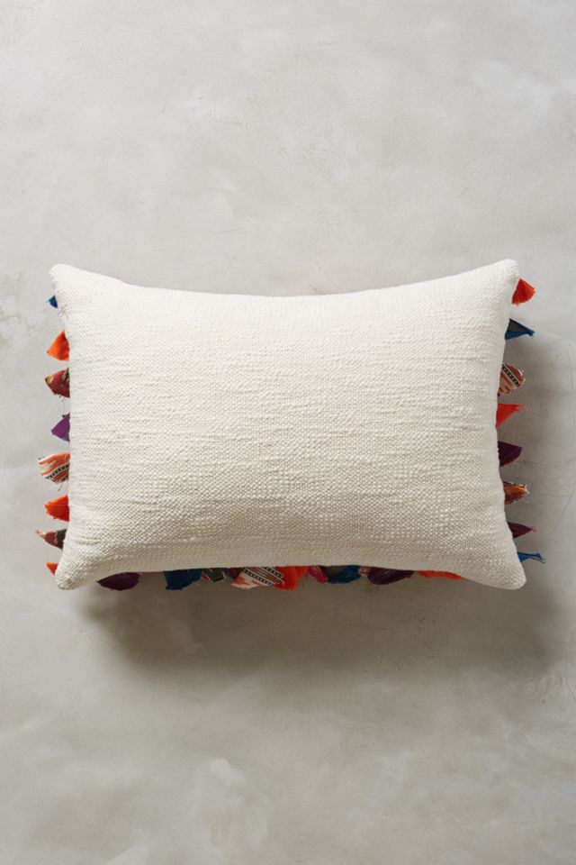 Tasseled Jacare Pillow #2