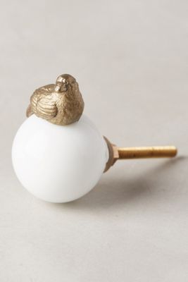 Higher Ground Knob 
