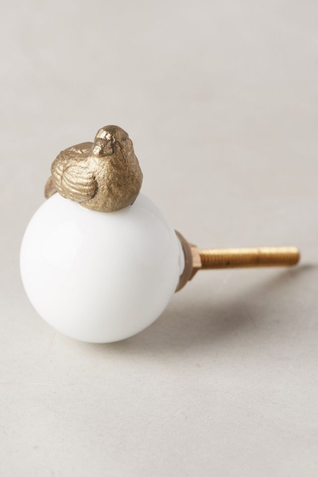 Higher Ground Knob 