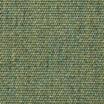 Sunbrella Canvas in Fern