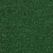 Velvet in Emerald