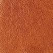 Winchester Leather in Sienna