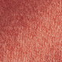 Burnt Coral