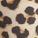 Vintage Leopard