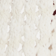 Ivory Combo
