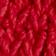 High Risk Red