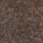 Bitter Bark
