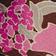Pink Favinia