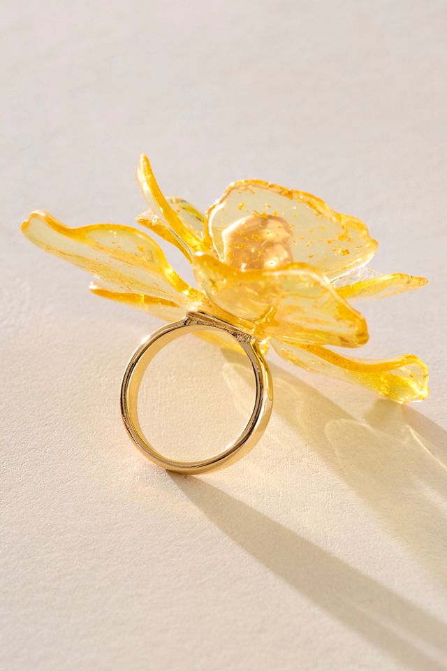 Ithica Ring #2