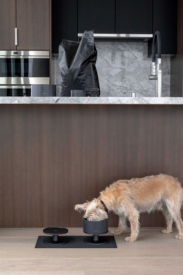 Boo Oh  Mogo Dog Bowl Stand #3