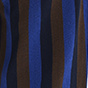 Blue Multicolor