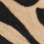 Beige Brown Zebra