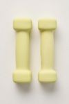 FP Movement X Gaiam 2 lb Dumbbell