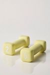 FP Movement X Gaiam 2 lb Dumbbell