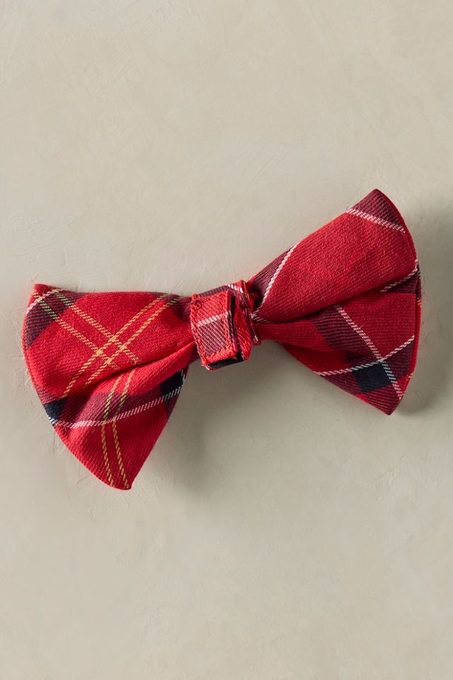 Nœud papillon pour chien en tartan Barbour #1