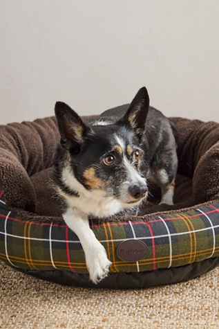Barbour Dog Snuggle 30" Bed