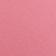Neon Flamingo