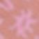 Pink Combo
