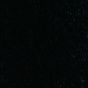 Black Orchid