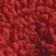Cranberry