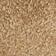 Honeyed Oak