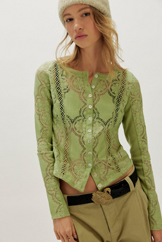 Jae Sheer Lace Knit Long Sleeve Top