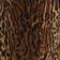 Leopard Print
