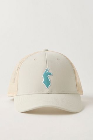 Strike Out Tonal Trucker Hat | Free People display picture 2
