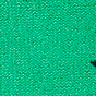 Field Goal