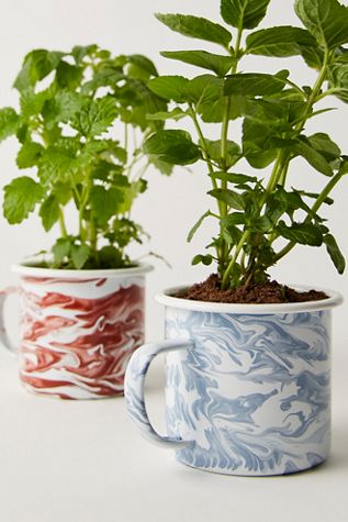 Kit de Culture de Tasse à Herbes Modifiées