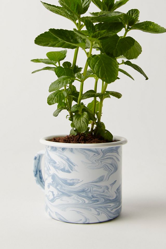 Altered Herb Mug Grow Kit #1