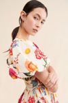 Allina Liu Rembrandt Mini Dress