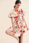 Allina Liu Rembrandt Mini Dress