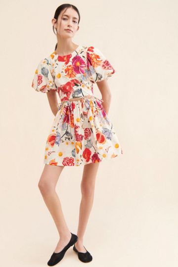 Allina Liu Rembrandt Mini Dress