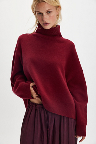 Sigma Turtleneck
