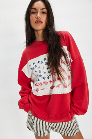Ragabond Sea Friends Flag Pullover