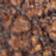 Chestnut Crackle / Black