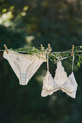 Fiona Mesh Bikini Undies