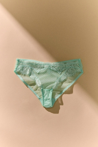 Fiona Mesh Bikini Undies