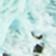 Watersprout