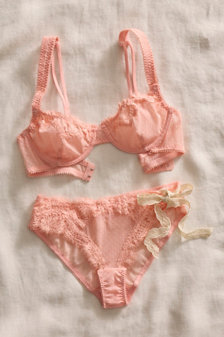 Fiona Mesh Bikini Undies