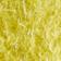 Citron vert