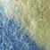 Blue & Yellow Combo