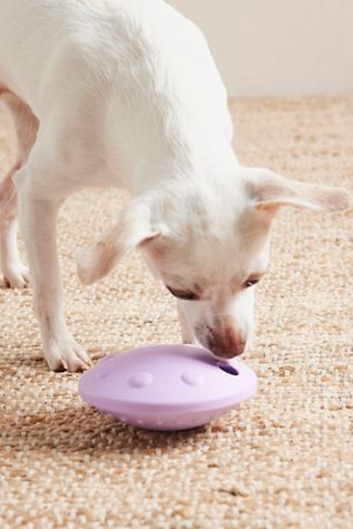 Flying Saucer Treat Puzzle