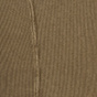 Fossil Dune